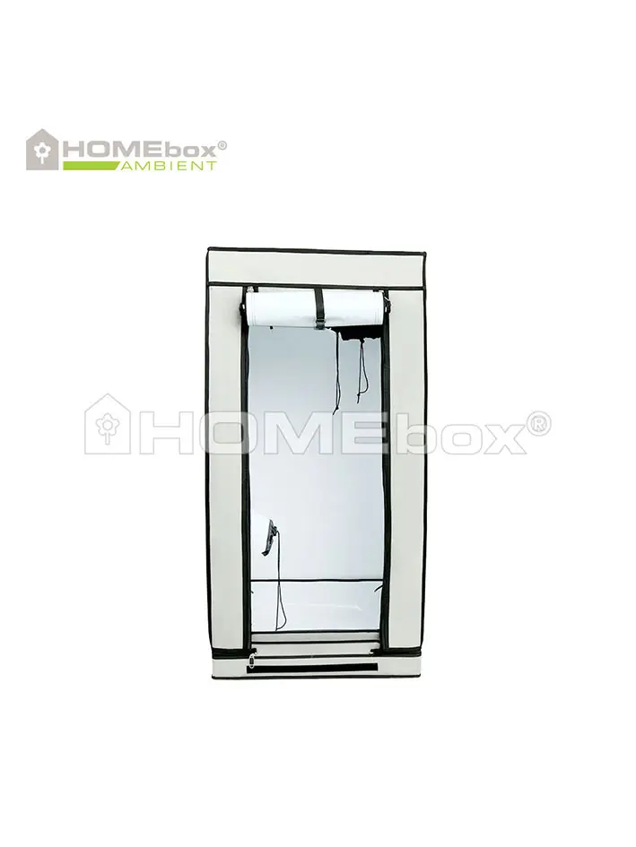HOMEbox Ambient Q60+