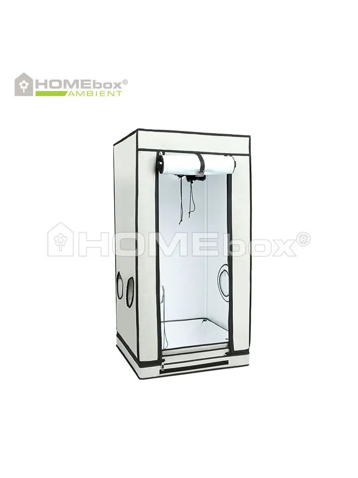 HOMEbox Ambient  Q60+