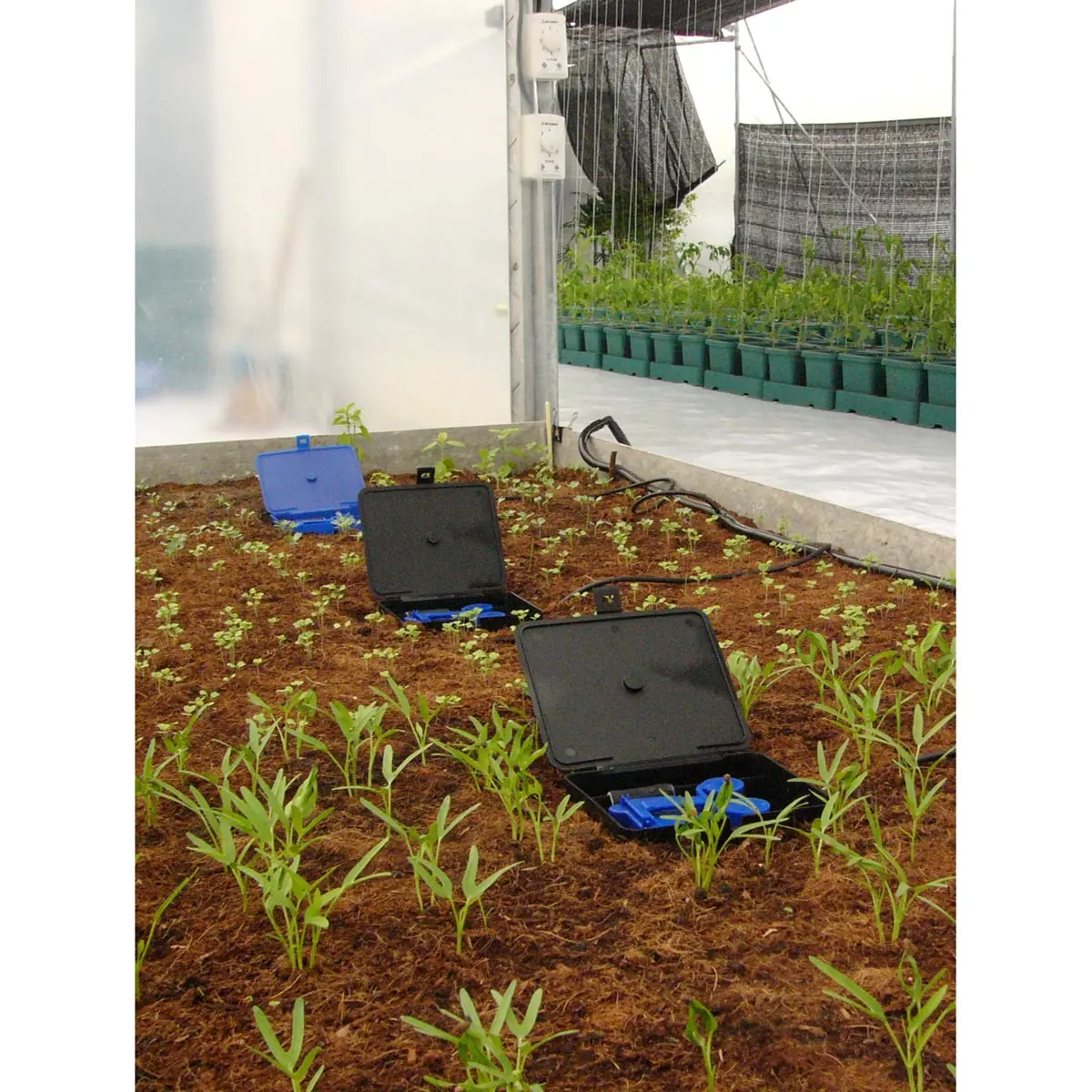 AQUAbox Straight Set