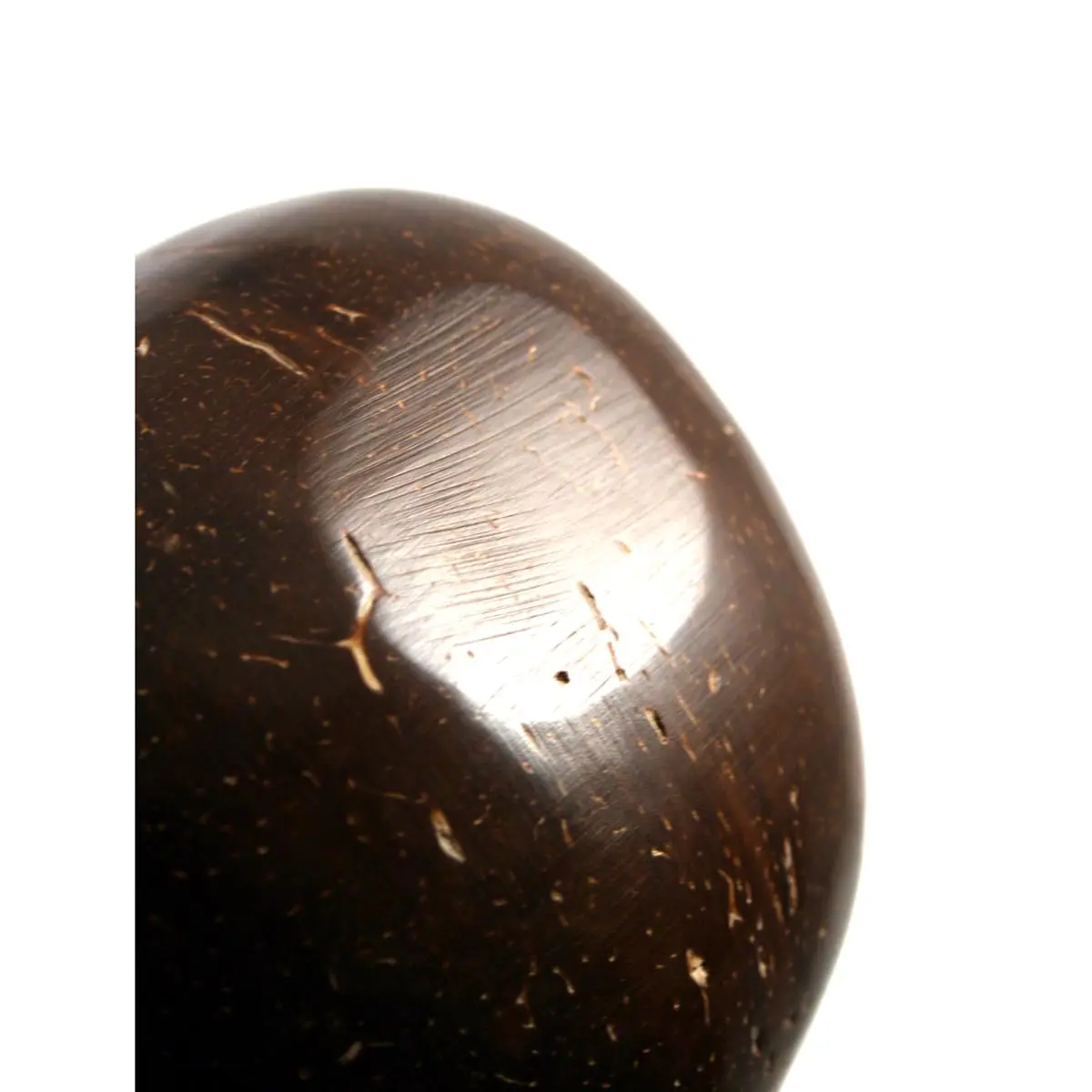 Preparation Tray - Nature