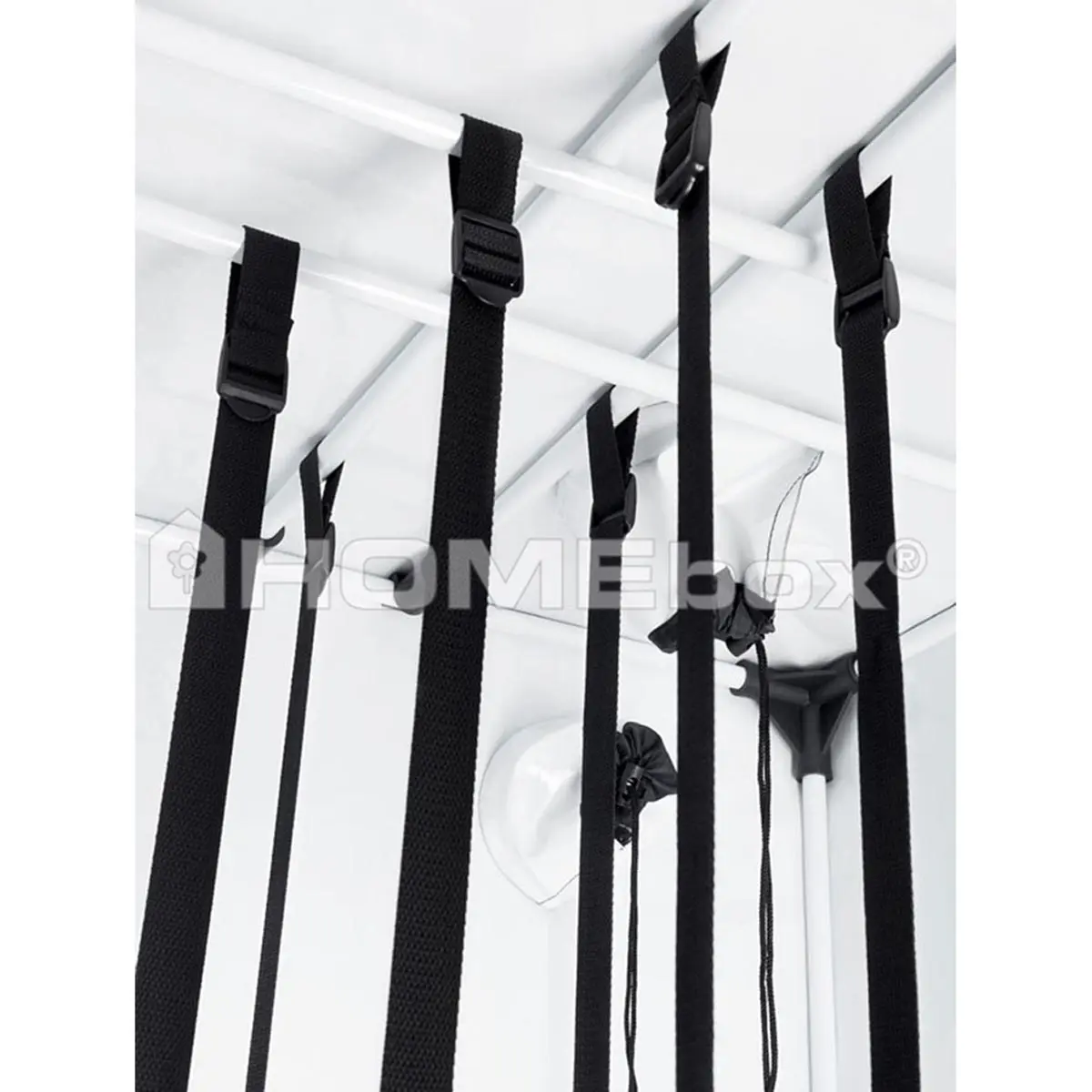 HOMEbox Ambient Q100