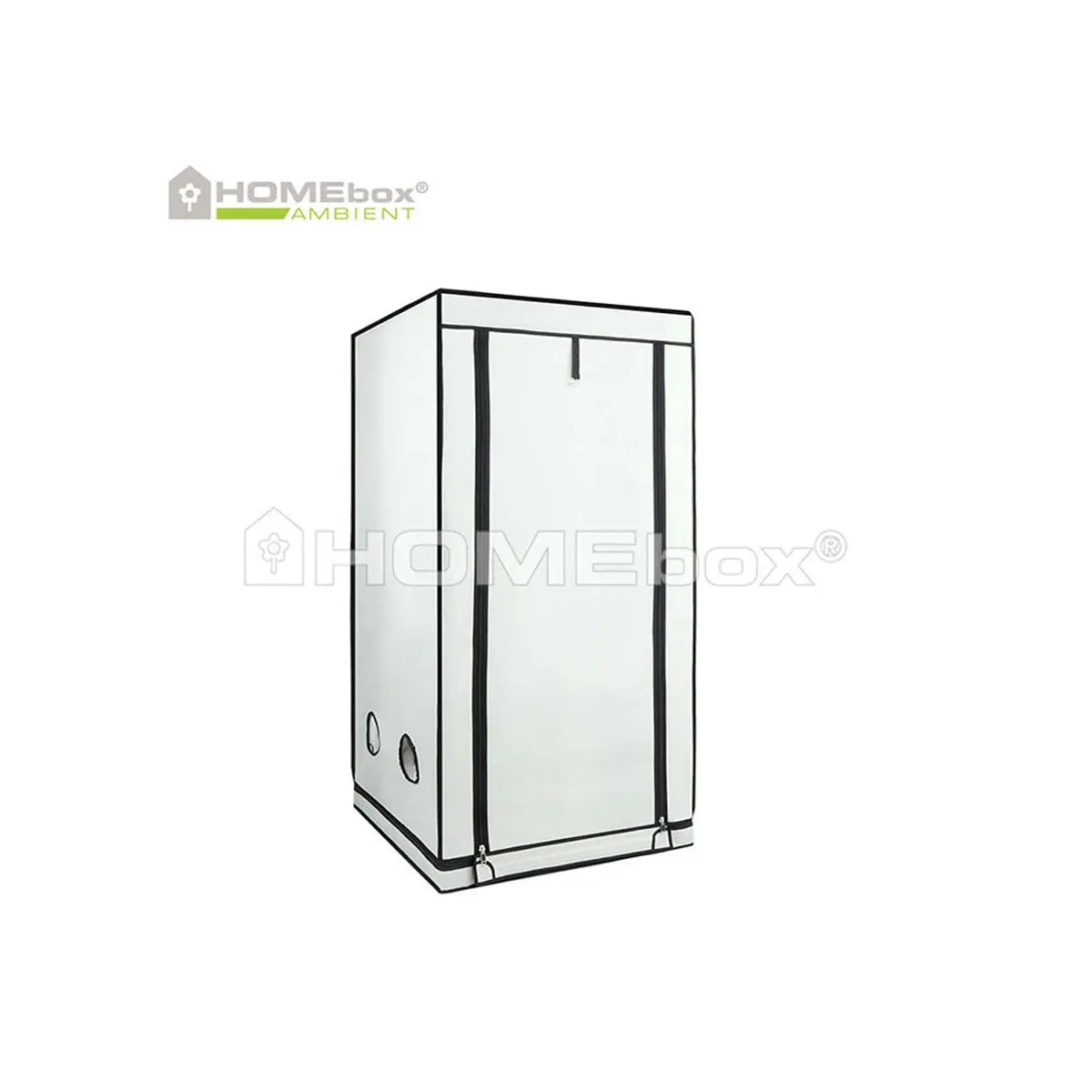 HOMEbox Ambient Q80+