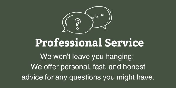 Professional Service
