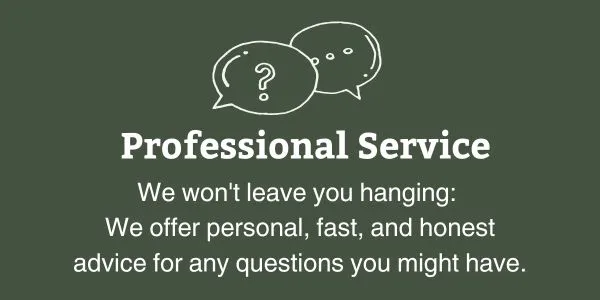 Professional Service