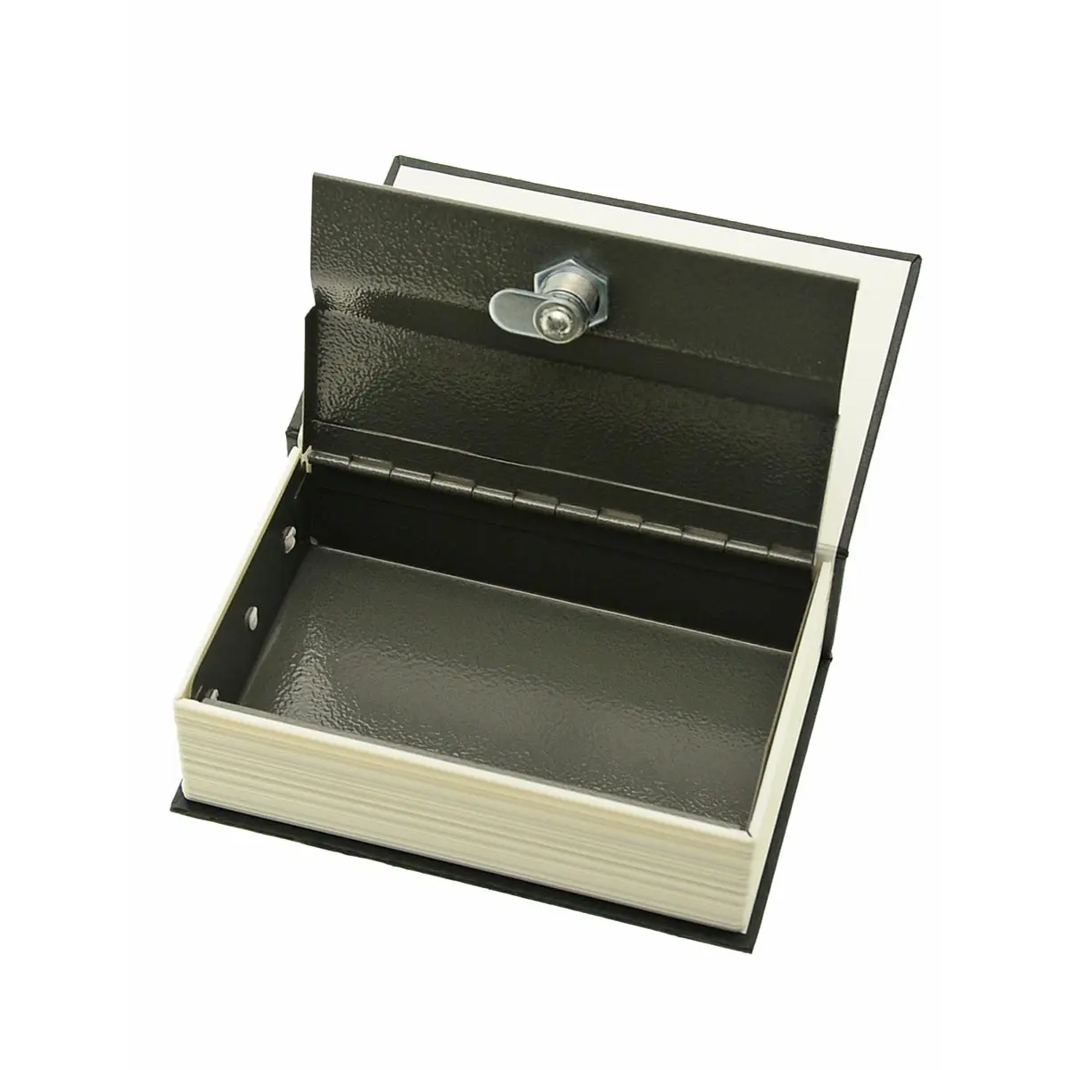 Book Stash "Dictionary"