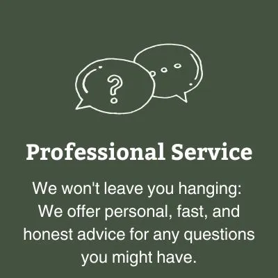 Professional Service