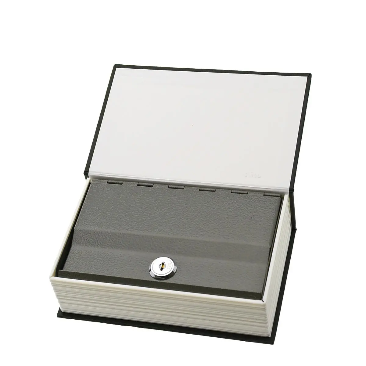 Book Stash "Dictionary"