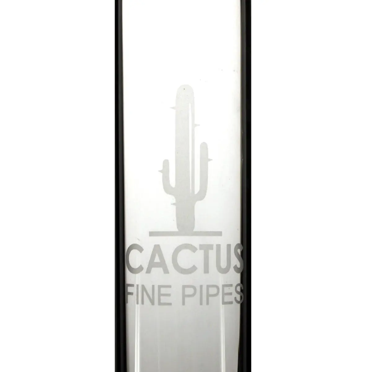 Cactus Glasbong 46cm
