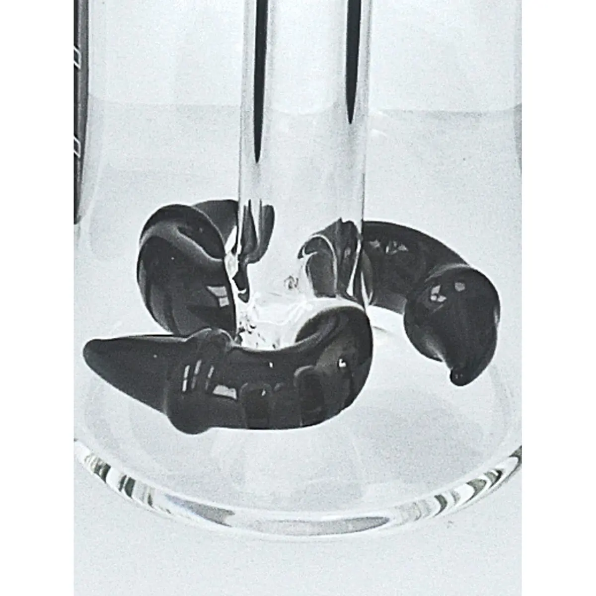 Jelly Joker Cooler 'Boomerang' 14,5