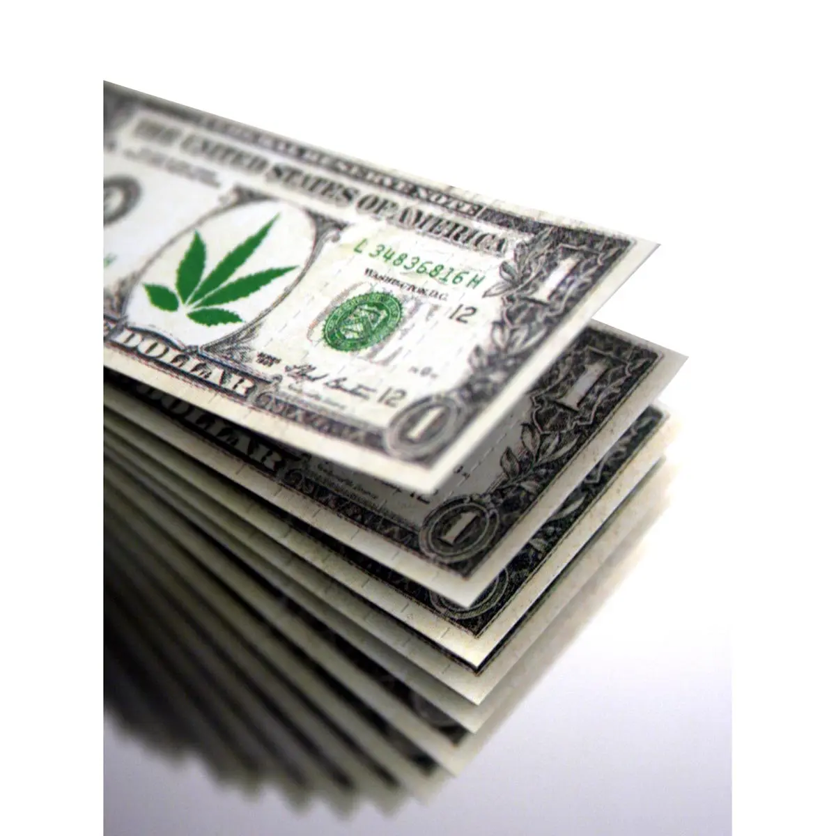 Filter Tips - Dollar Bill