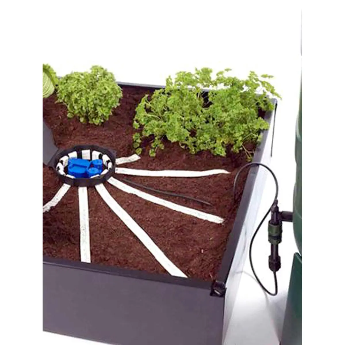 AQUAbox Spyder