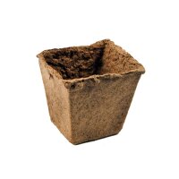 12 bio-degradable pots, square, 8 x 8 cm each