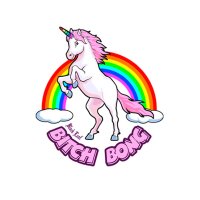 Black Leaf Bitch Bong Boxed Bong - Precooler with pre-cooler